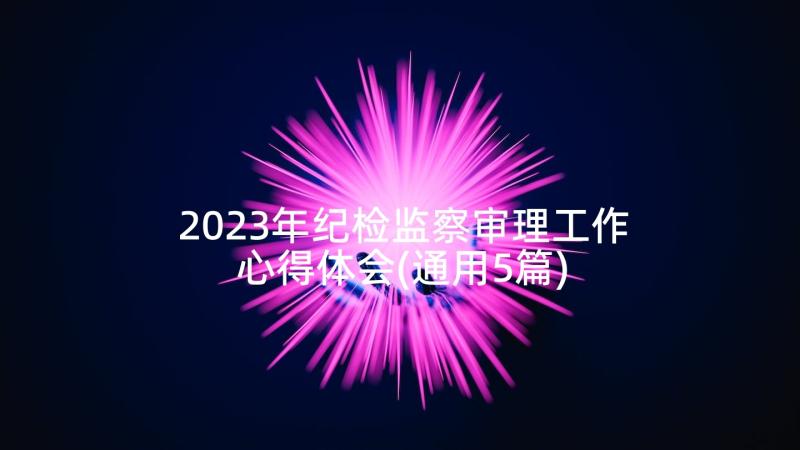 2023年纪检监察审理工作心得体会(通用5篇)