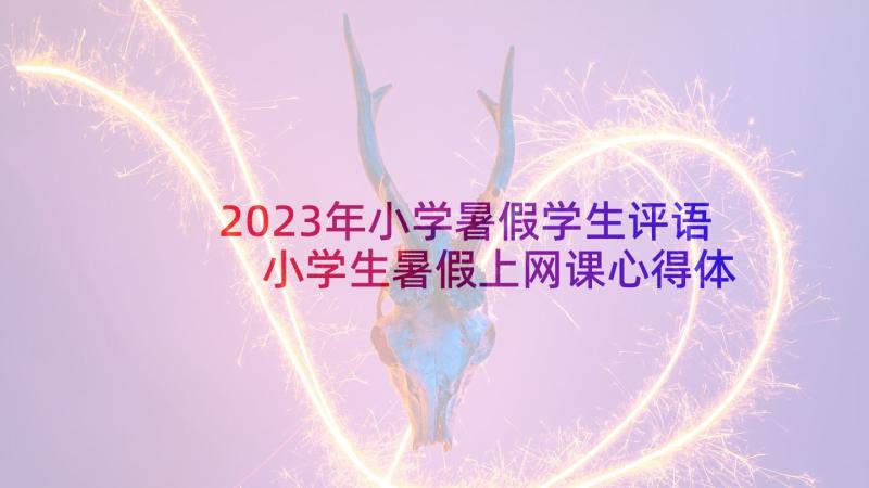 2023年小学暑假学生评语 小学生暑假上网课心得体会(优质10篇)