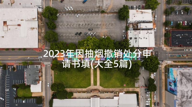 2023年因抽烟撤销处分申请书填(大全5篇)