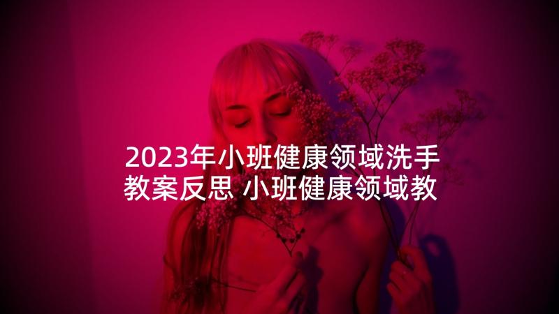 2023年小班健康领域洗手教案反思 小班健康领域教案(汇总10篇)