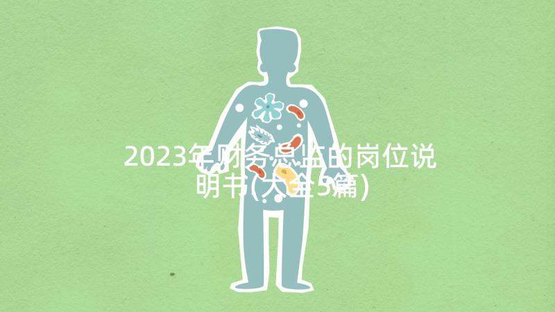 2023年财务总监的岗位说明书(大全5篇)