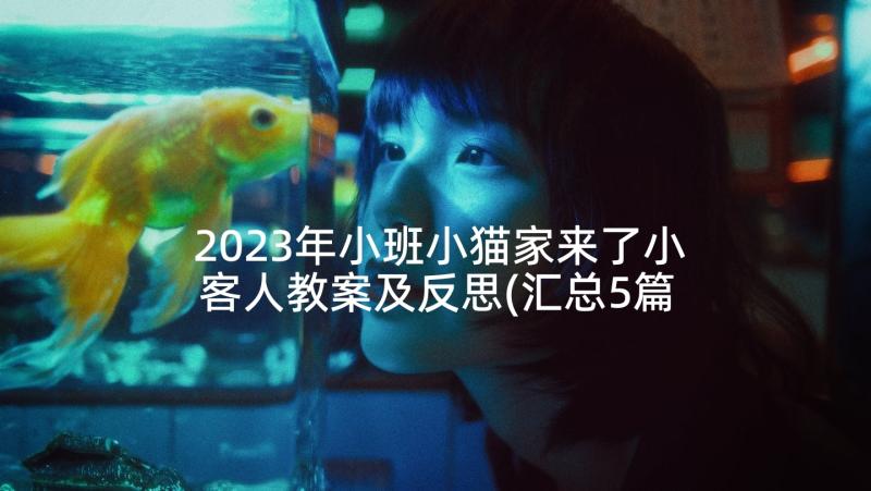 2023年小班小猫家来了小客人教案及反思(汇总5篇)