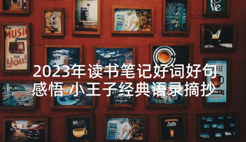 2023年读书笔记好词好句感悟 小王子经典语录摘抄(实用5篇)