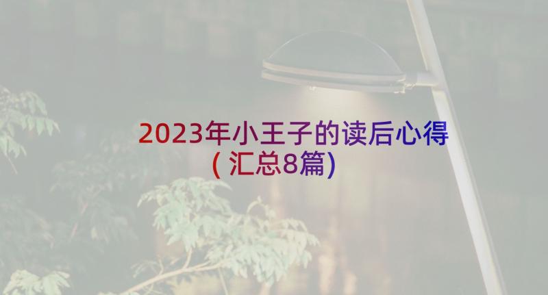 2023年小王子的读后心得(汇总8篇)