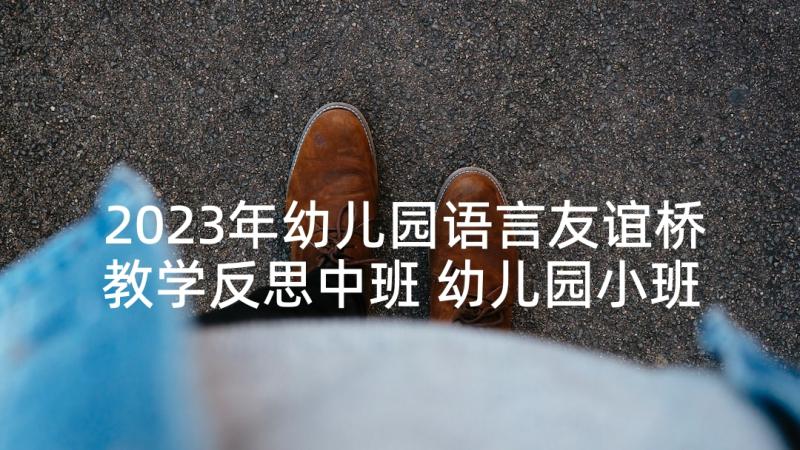 2023年幼儿园语言友谊桥教学反思中班 幼儿园小班语言教学反思(优质9篇)