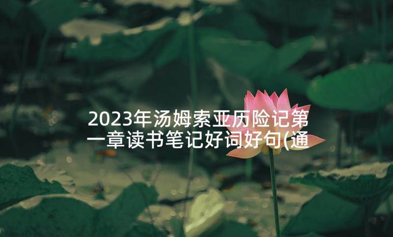 2023年汤姆索亚历险记第一章读书笔记好词好句(通用6篇)