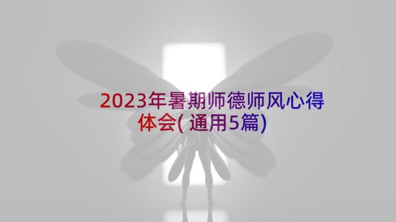 2023年暑期师德师风心得体会(通用5篇)