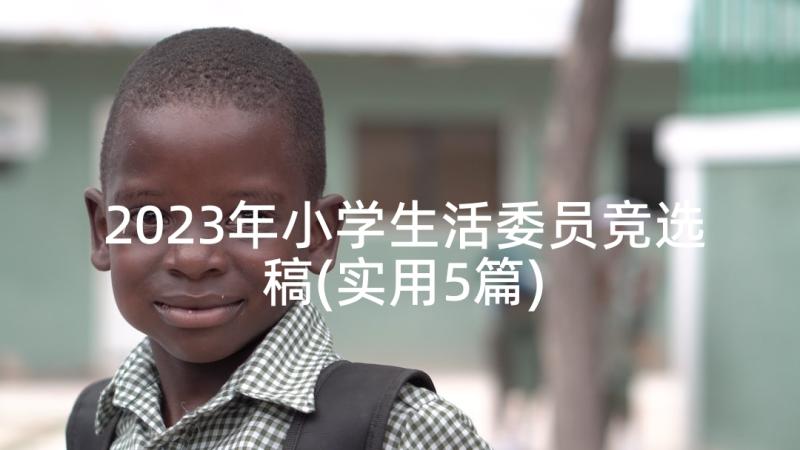 2023年小学生活委员竞选稿(实用5篇)