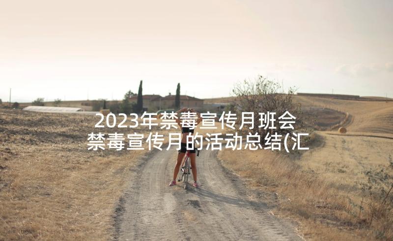 2023年禁毒宣传月班会 禁毒宣传月的活动总结(汇总5篇)