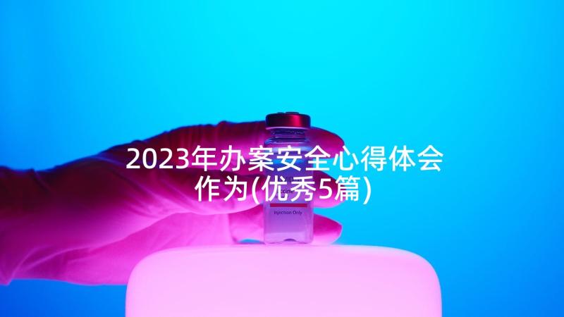 2023年办案安全心得体会作为(优秀5篇)