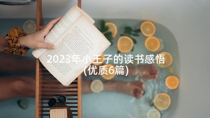 2023年小王子的读书感悟(优质6篇)