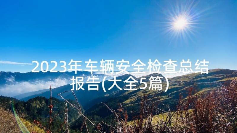 2023年车辆安全检查总结报告(大全5篇)