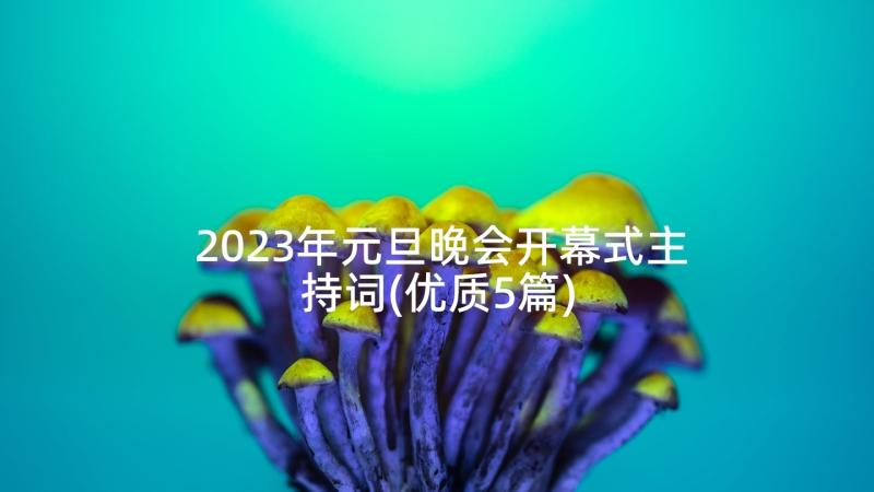 2023年元旦晚会开幕式主持词(优质5篇)