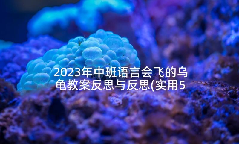 2023年中班语言会飞的乌龟教案反思与反思(实用5篇)