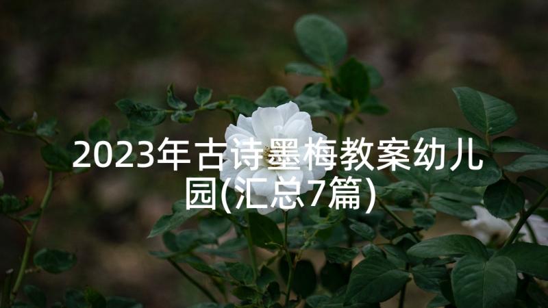 2023年古诗墨梅教案幼儿园(汇总7篇)