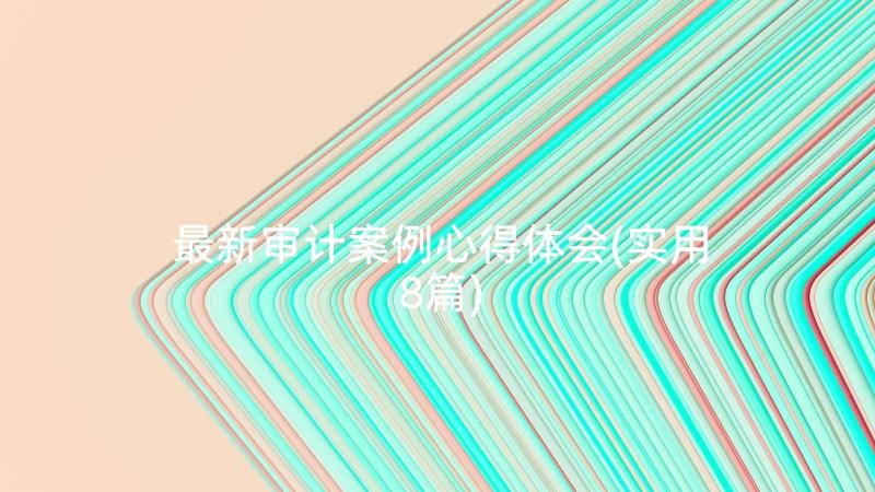 最新审计案例心得体会(实用8篇)