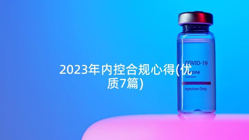 2023年内控合规心得(优质7篇)