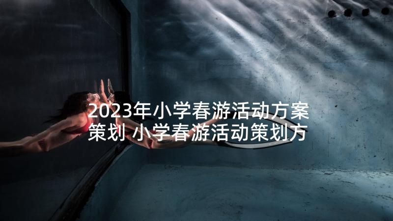 2023年小学春游活动方案策划 小学春游活动策划方案(实用5篇)