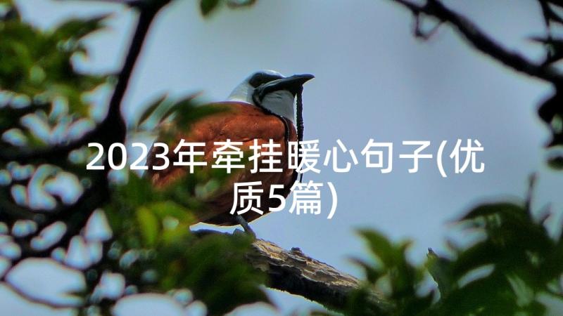 2023年牵挂暖心句子(优质5篇)