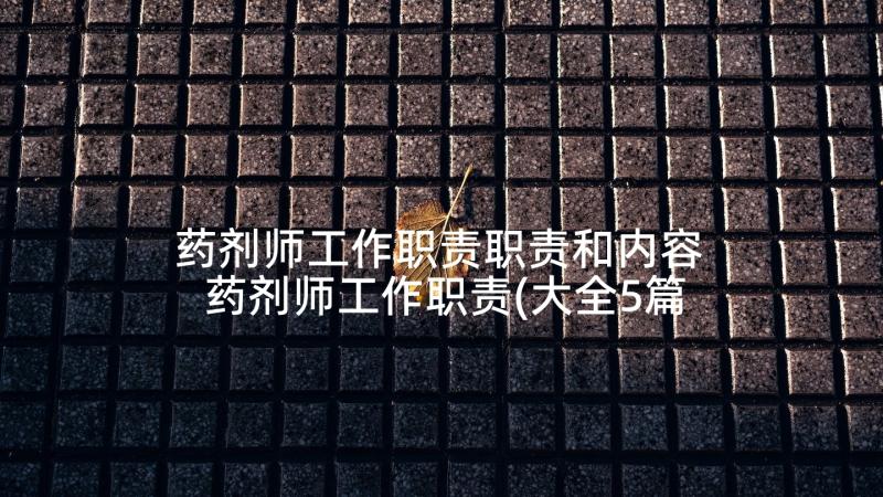 药剂师工作职责职责和内容 药剂师工作职责(大全5篇)