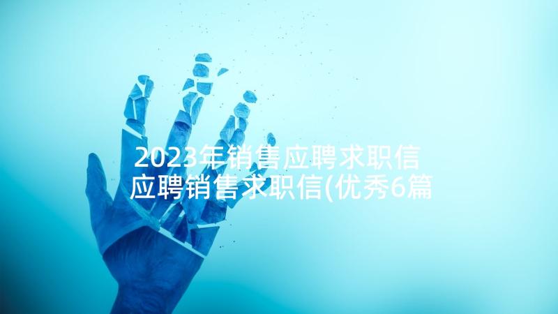 2023年销售应聘求职信 应聘销售求职信(优秀6篇)