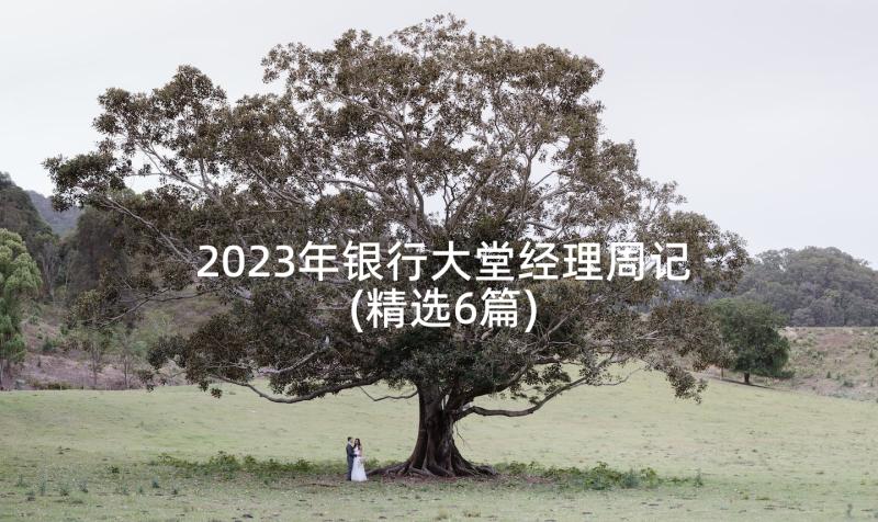 2023年银行大堂经理周记(精选6篇)