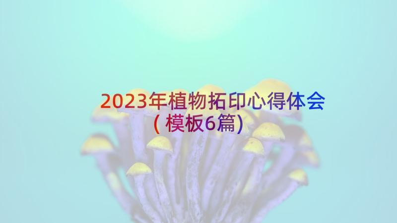 2023年植物拓印心得体会(模板6篇)