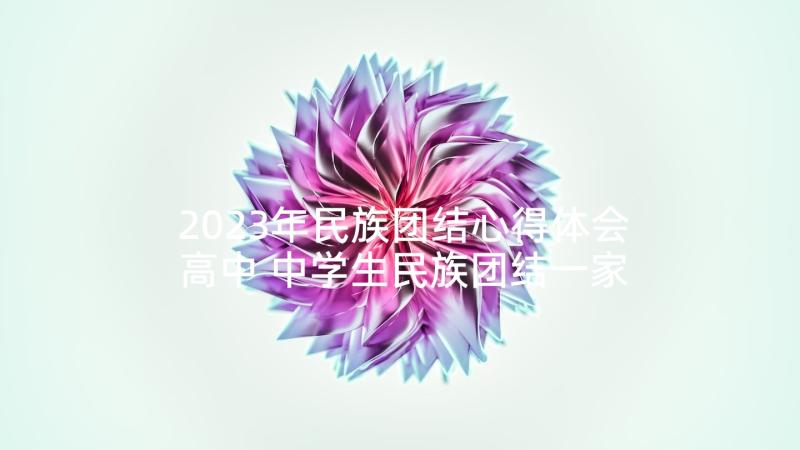 2023年民族团结心得体会高中 中学生民族团结一家亲演讲稿(模板5篇)