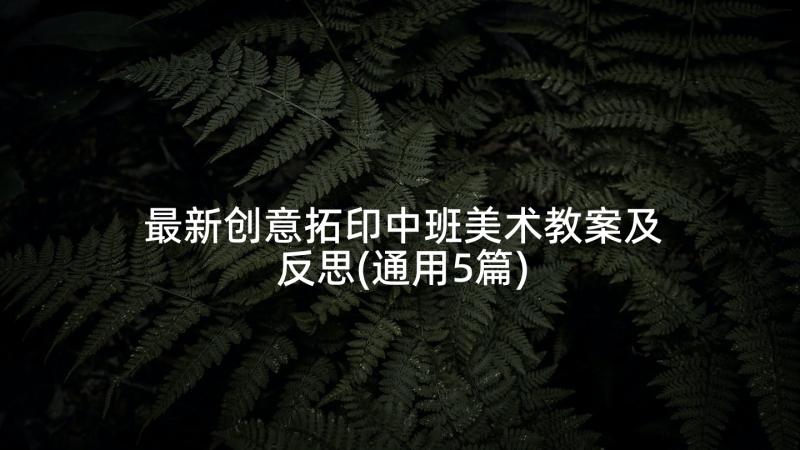 最新创意拓印中班美术教案及反思(通用5篇)