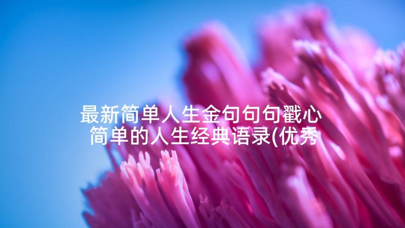 最新简单人生金句句句戳心 简单的人生经典语录(优秀9篇)