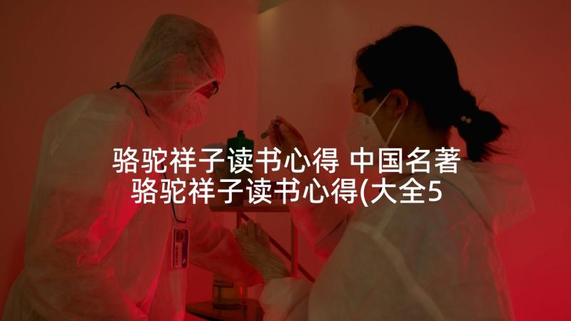 骆驼祥子读书心得 中国名著骆驼祥子读书心得(大全5篇)