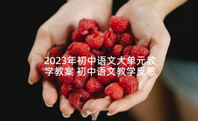 2023年初中语文大单元教学教案 初中语文教学反思(实用6篇)