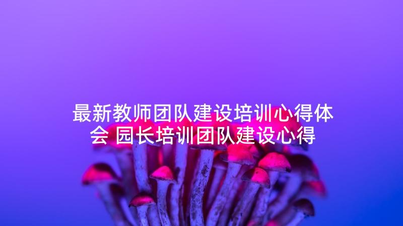 最新教师团队建设培训心得体会 园长培训团队建设心得体会(优秀5篇)