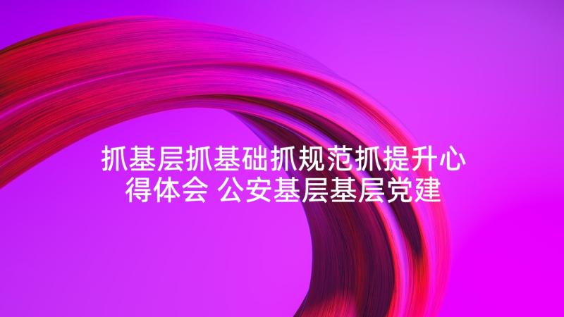 抓基层抓基础抓规范抓提升心得体会 公安基层基层党建工作总结(实用7篇)