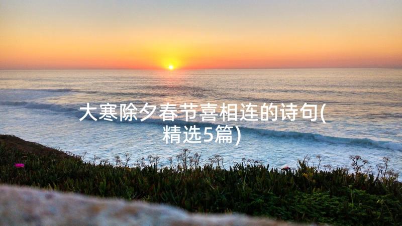 大寒除夕春节喜相连的诗句(精选5篇)