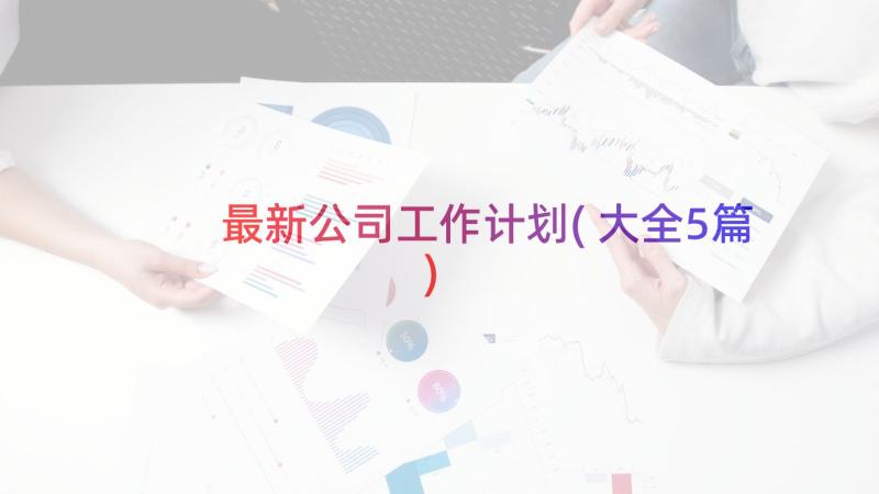 最新公司工作计划(大全5篇)