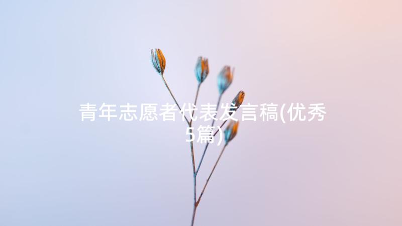 青年志愿者代表发言稿(优秀5篇)