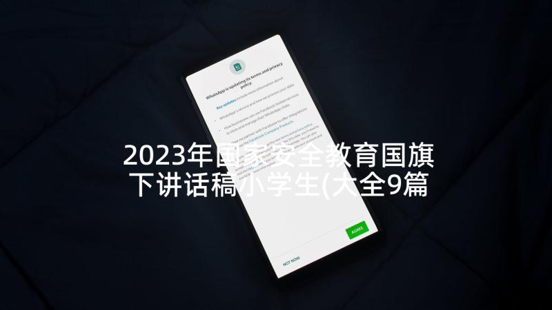 2023年国家安全教育国旗下讲话稿小学生(大全9篇)