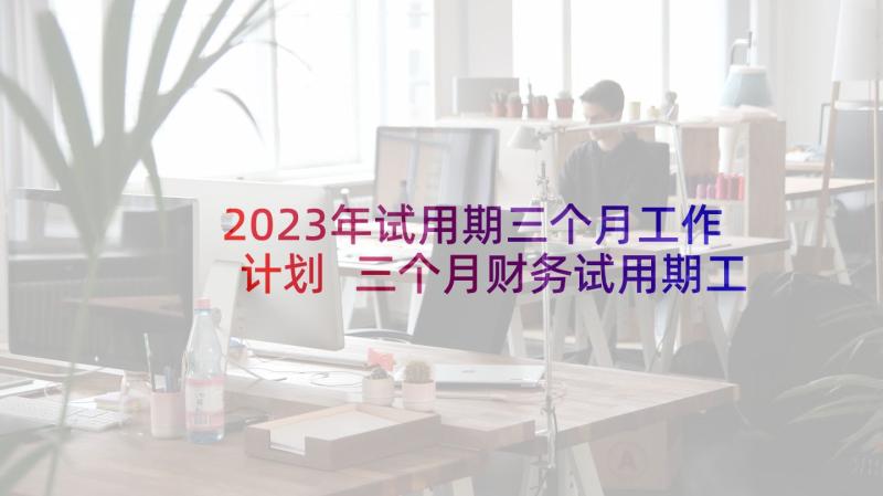 2023年试用期三个月工作计划 三个月财务试用期工作总结(汇总5篇)