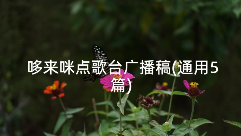 哆来咪点歌台广播稿(通用5篇)