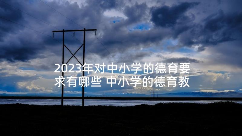 2023年对中小学的德育要求有哪些 中小学的德育教育读后感(优秀5篇)