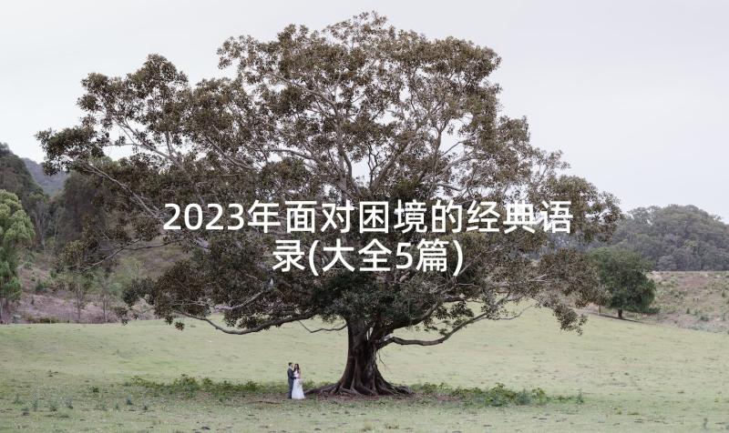 2023年面对困境的经典语录(大全5篇)