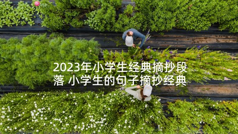 2023年小学生经典摘抄段落 小学生的句子摘抄经典句(大全5篇)