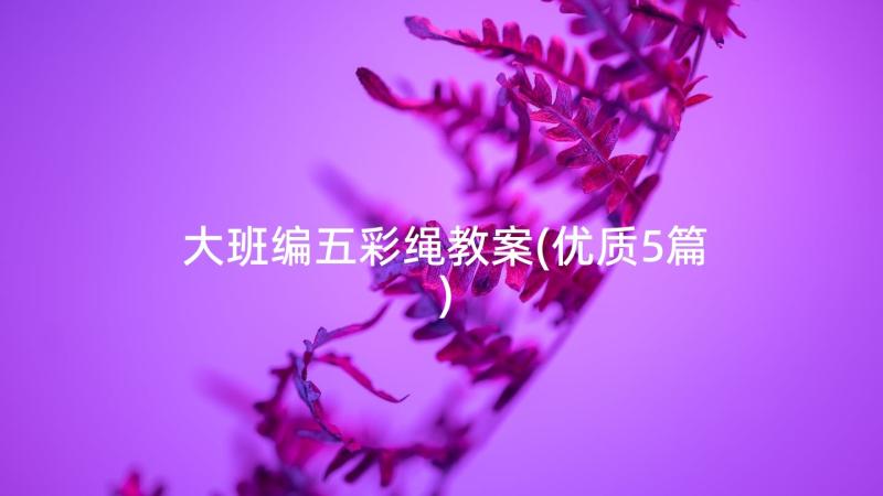 大班编五彩绳教案(优质5篇)