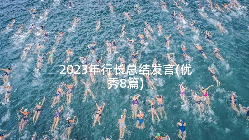 2023年行长总结发言(优秀8篇)