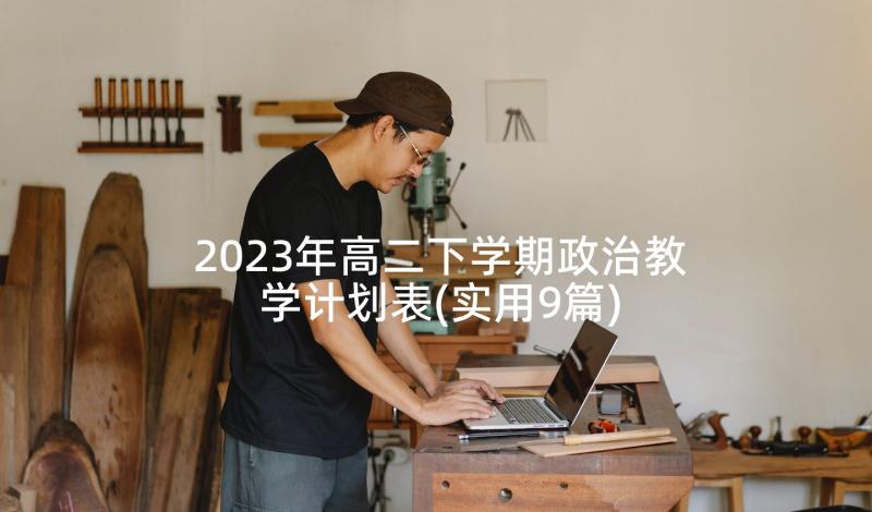 2023年高二下学期政治教学计划表(实用9篇)