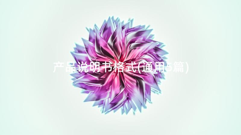 产品说明书格式(通用5篇)