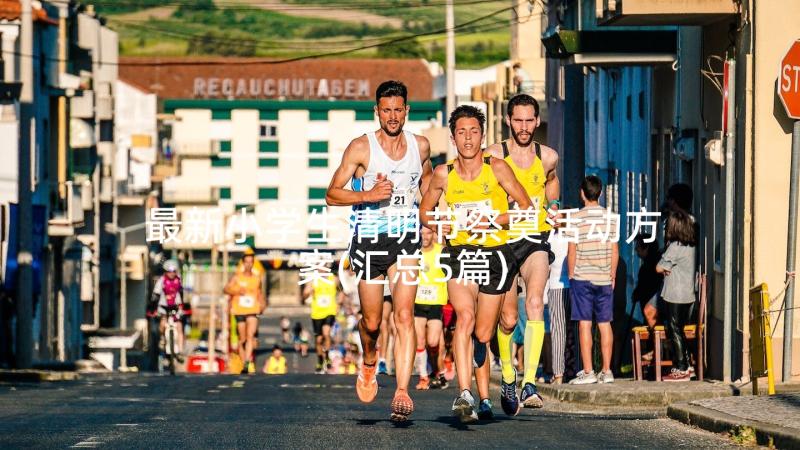 最新小学生清明节祭奠活动方案(汇总5篇)