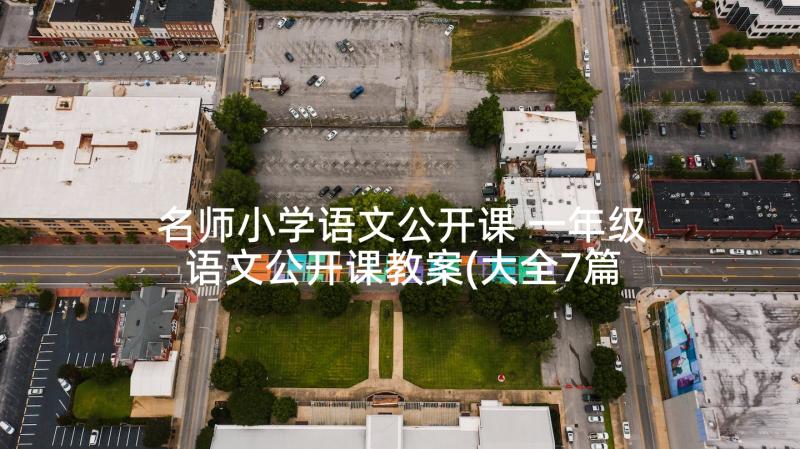 名师小学语文公开课 一年级语文公开课教案(大全7篇)