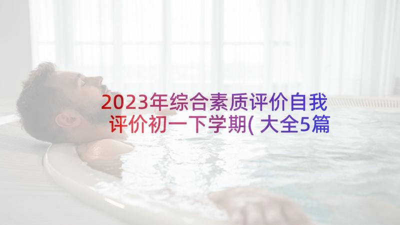 2023年综合素质评价自我评价初一下学期(大全5篇)